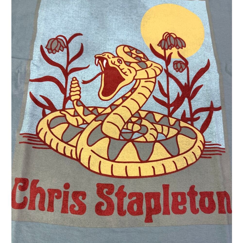 Chris Stapleton Snake Graphic T Shirt Large Distressed NWT